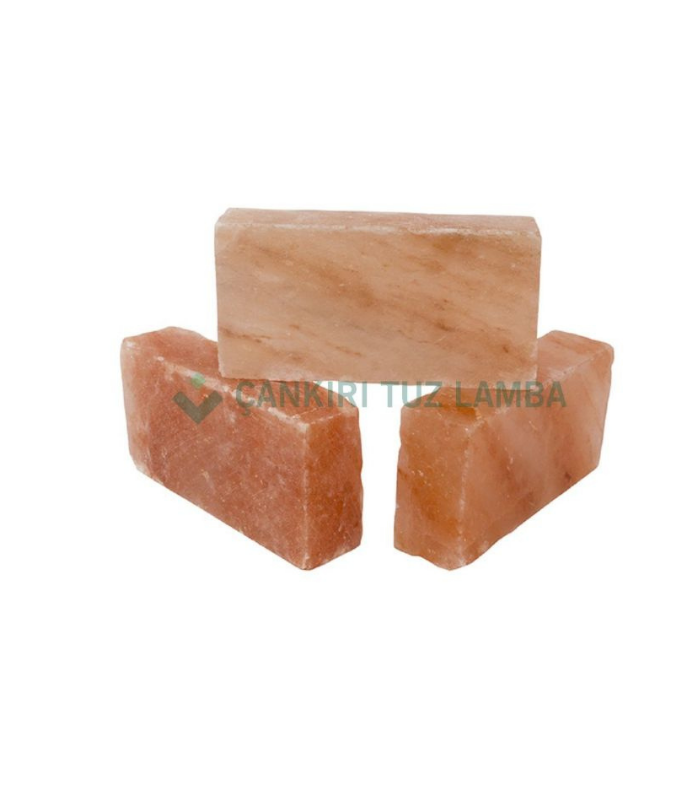 Himalayan Salt Brick for Dry Aging Meat 20x10x2.5 cm