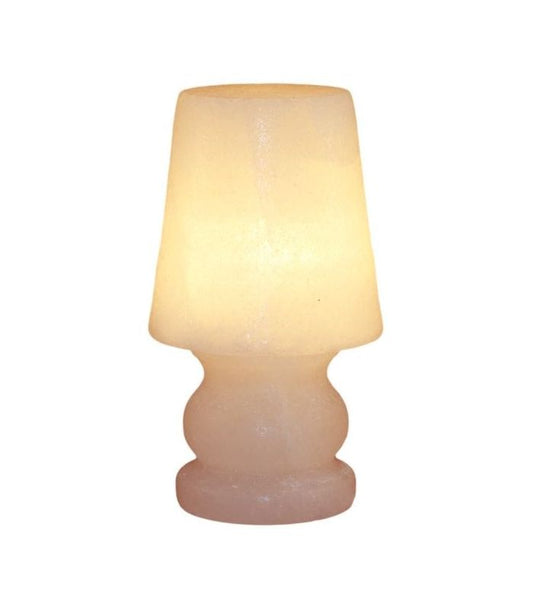 Rock Salt Base Lampshade Salt Lamp