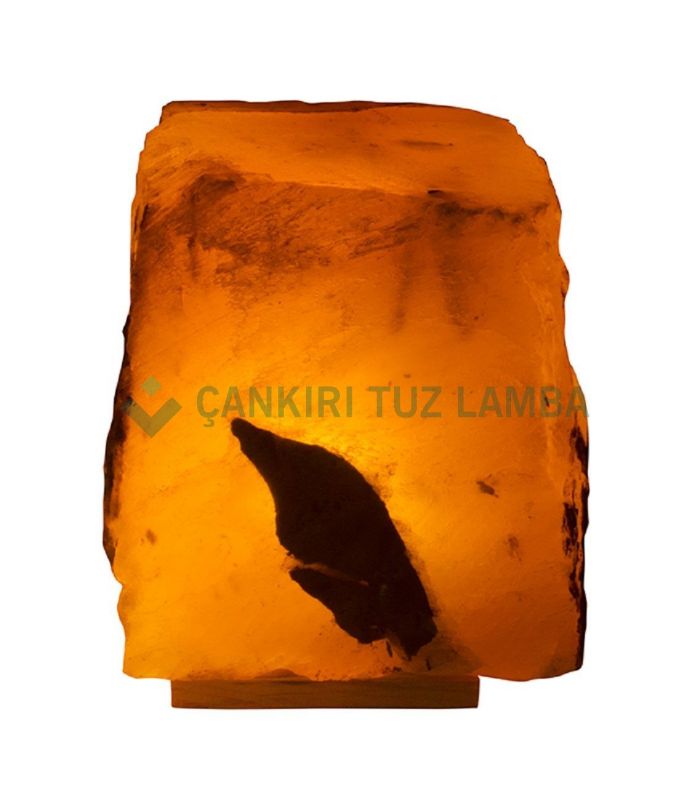 Kırmızı Kaya Tuzu Lambası 3 Kg – Kütle