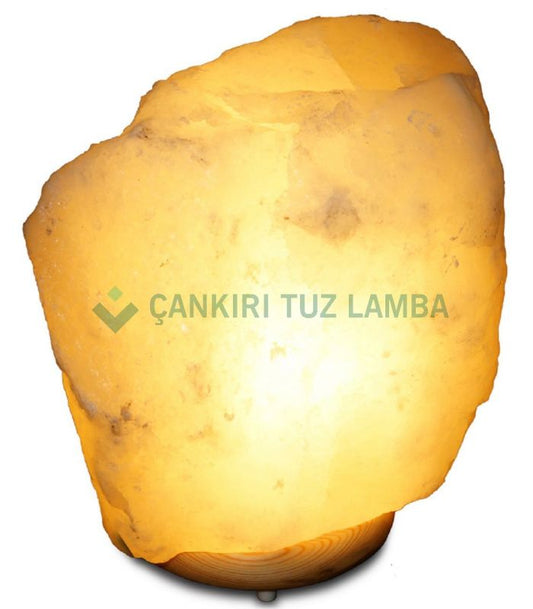Natural Shaped Salt Lamp 8 Kg