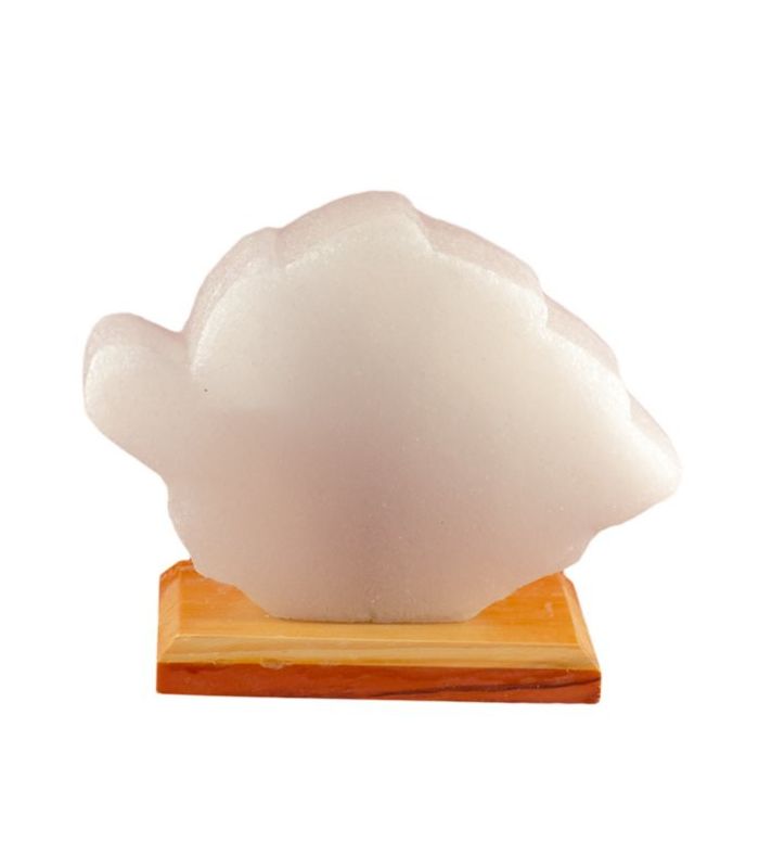 Blatt Salzlampe