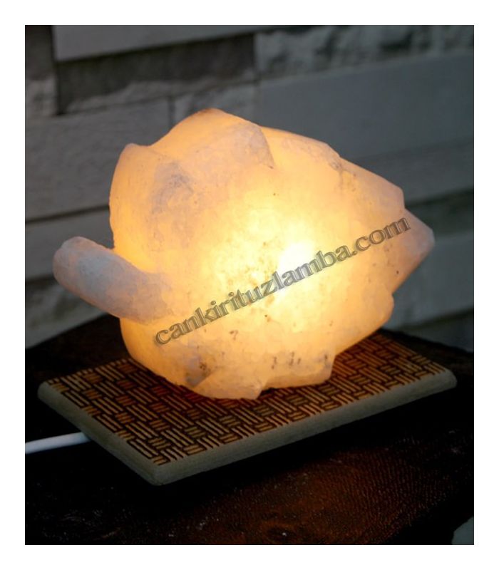 Blatt Salzlampe