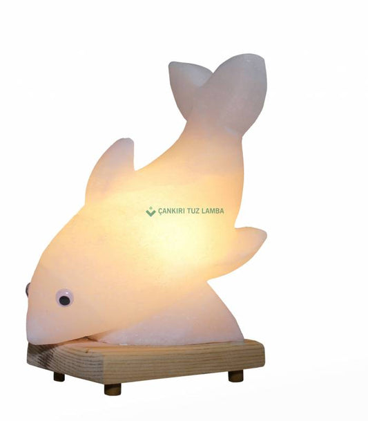Yunus Çankırı Salt Lamp
